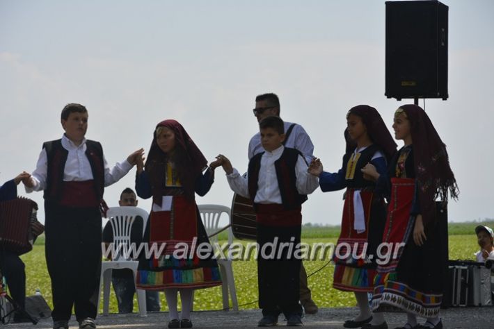 alexandriamou.gr_trikala28.5.2018165